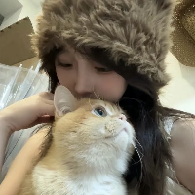 外壳