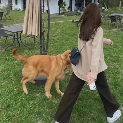 花花子弟